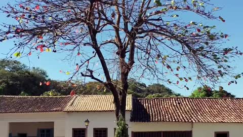 Cidade de Goiás, Brazil.