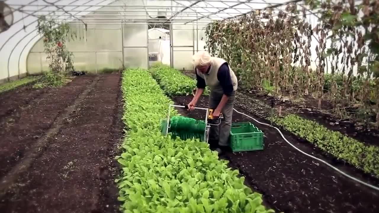 Amazing invention that blows your mind