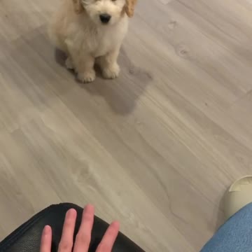 I’ll jump on it one day mama