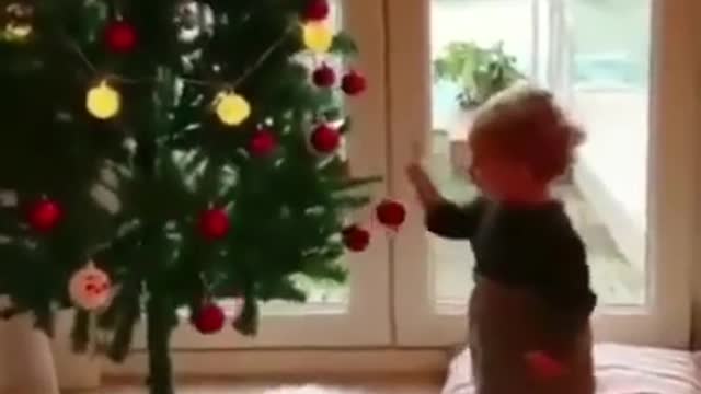 Christmas baby sort video