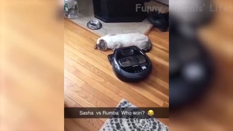 🤣 Funniest Dogs and Cats - Awesome Funny Animals Videos