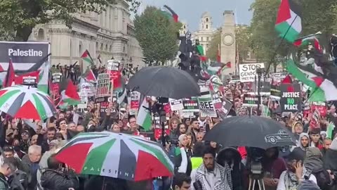 Pro-Palestine Hamas protest in central London