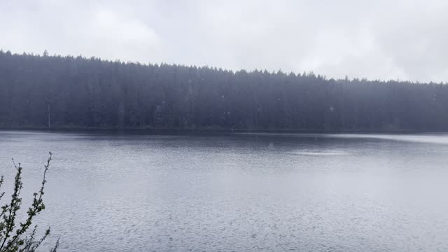 Osprey Catches Fish – Clear Lake – Central Oregon – 4K