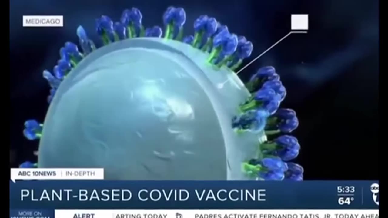 PLANT BASED COVID VACCINE FOOD VACCINES