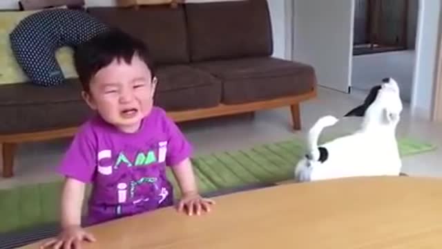 cute baby and cat fun