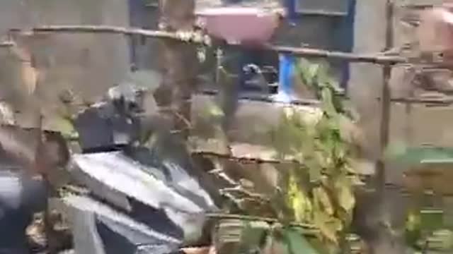 Powerful earthquake destroys houses