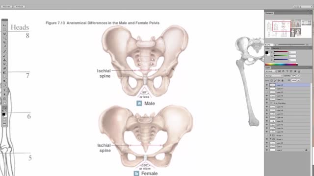 SIR-ena Williams: The Anatomy of a Deception