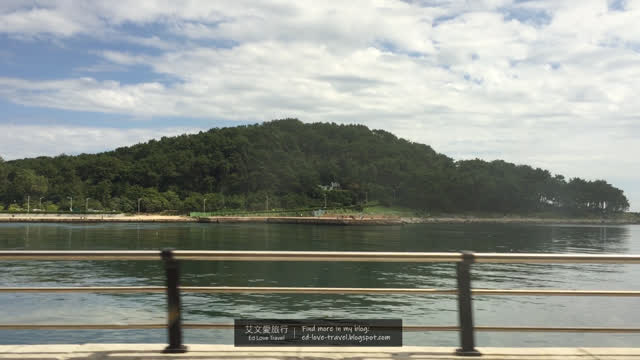 【韓國】釜山交通 ‧ Buti釜山城市觀光巴士 4