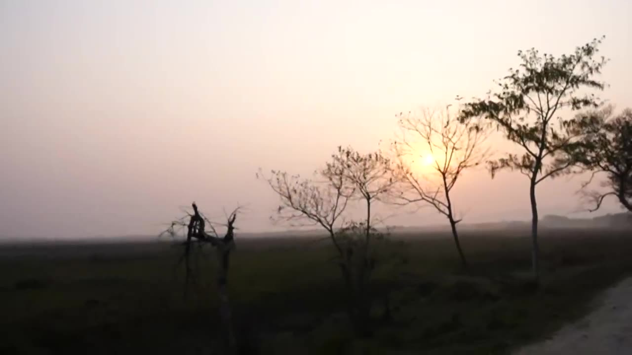 Exploring Assam's rich biodiversity: PM Modi at Kaziranga National Park