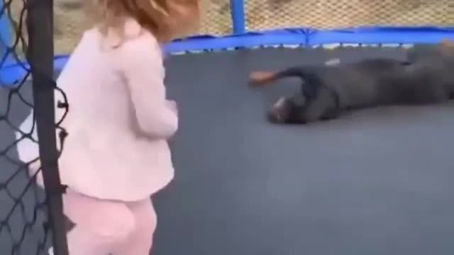 Funny REACTION #33 - The Dog is very happy playing along with little girl