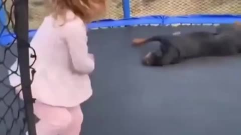 Funny REACTION #33 - The Dog is very happy playing along with little girl