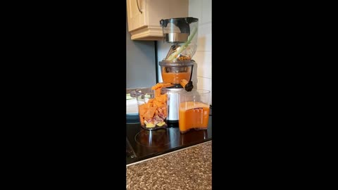 Sage SJS700SIL The Big Squeeze Slow Juicer