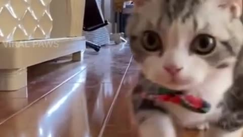 Super Bouncy Munchkin