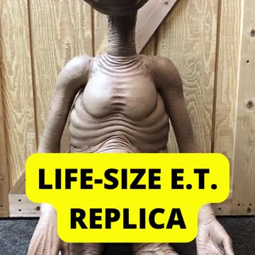 The Unusual Things That Have Washed Ashore