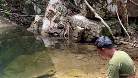 /person-watching-the-fish-on-a-water-pond