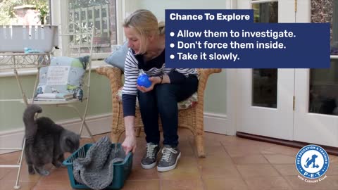 Train your cat to go into the carrier