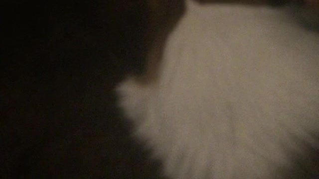 old man Njord and the noisy ball