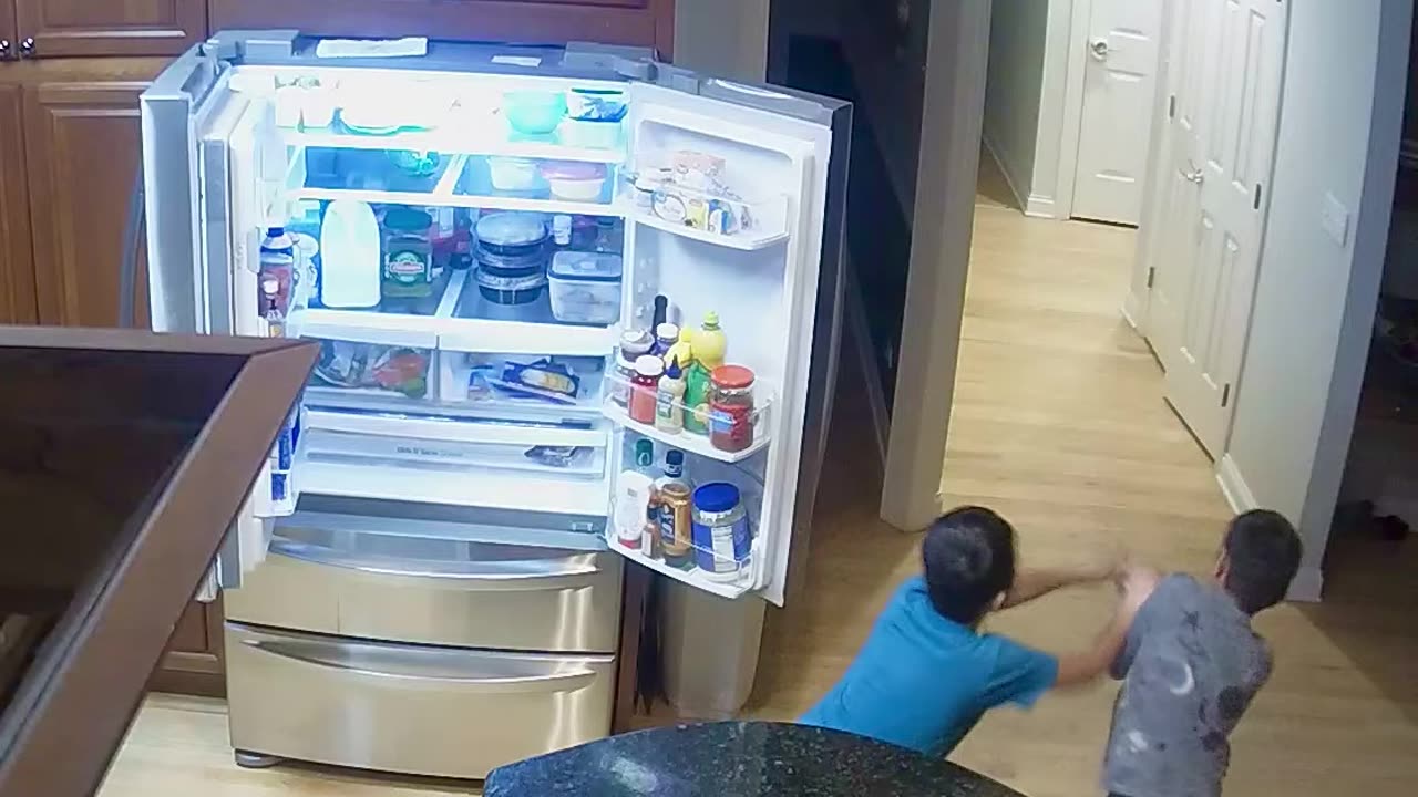 Brothers Topple Shelf Climbing on Refrigerator