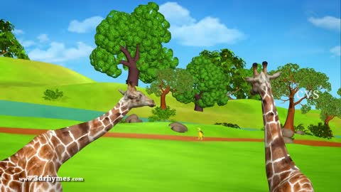 Rabbit and tortaise Hindi story