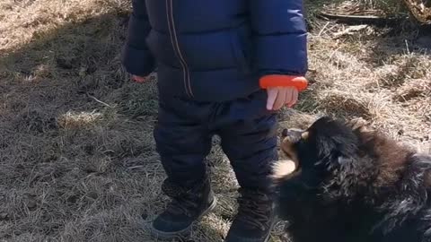 Baby passing with dog