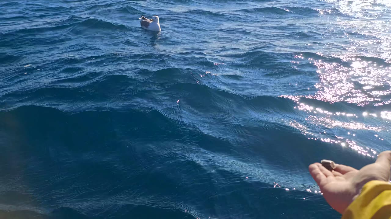 Kayak itiwit 100 on the open sea minn kota endura