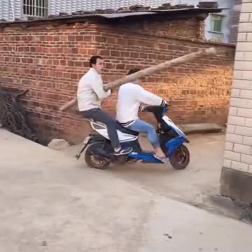 silly group of people