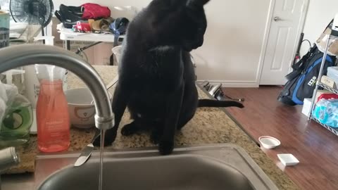 20240826 173421 Tux's Recurring Drinking Problem