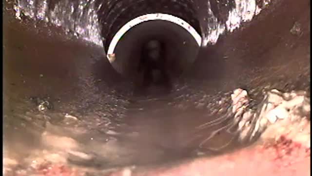 12 Center Dr Mt. Lakes NJ sewer Cam