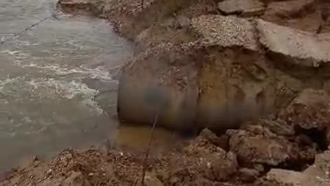 Fury nature