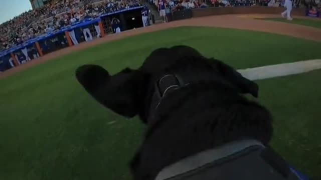 When will they learn those are my bats