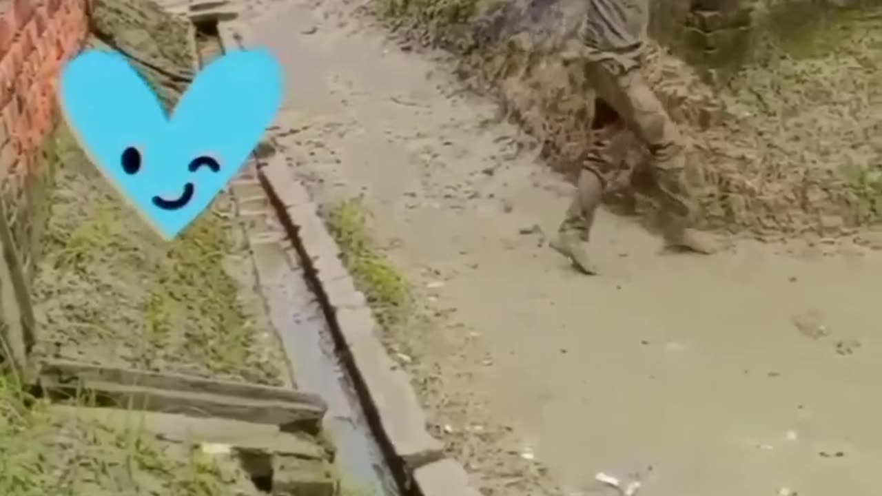 Funniest videos 😂 😂 ll