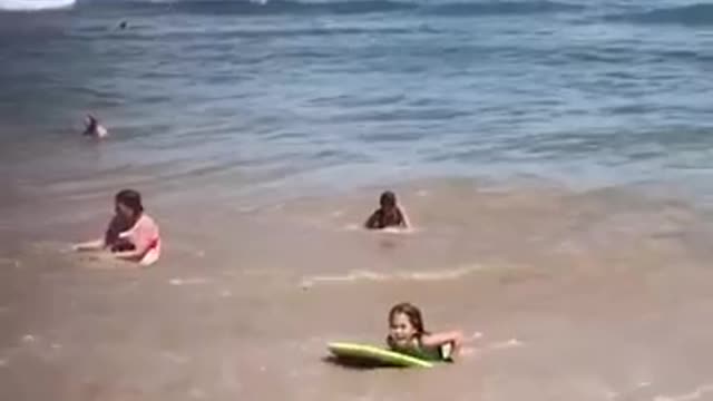 Boogie Board Fails