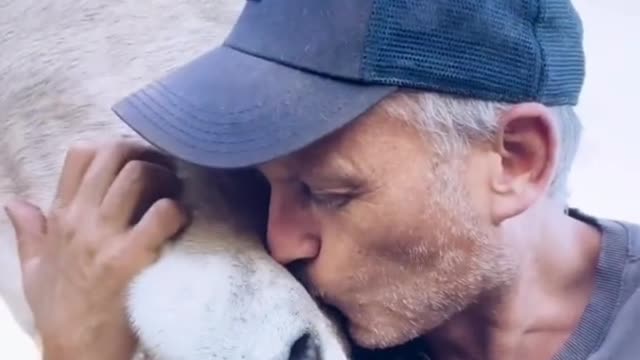 lovely dogs and gratitude from animals #john cena