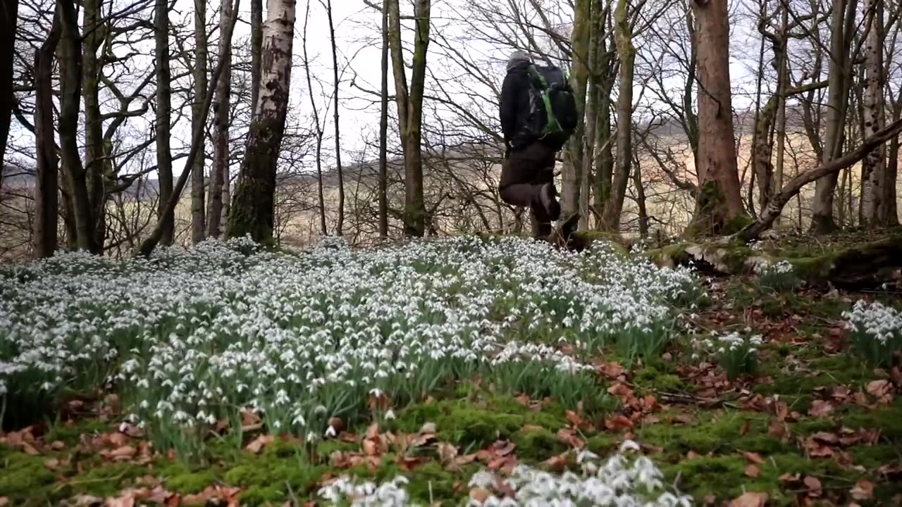 The Strid in Strid Wood | Most Dangerous Stretch of River on Earth