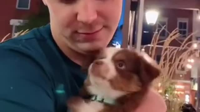 .Happy Birthday Ember!