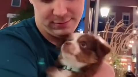 .Happy Birthday Ember!