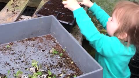 Toddler Trips while Tending to Plants