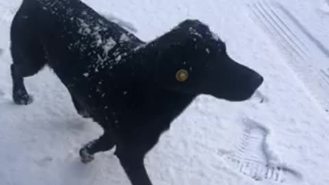 Black boy in the snow