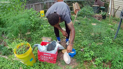 My Vegetative & Flowering Nutrient Inputs