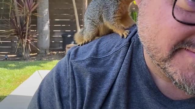 Squirrel Shows Up On Family's Doorstep And Never Leaves