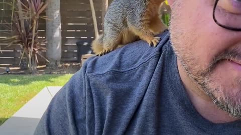 Squirrel Shows Up On Family's Doorstep And Never Leaves