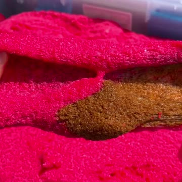 Oddly&Satisfying&ASMR/sound ON🔊 😌 Part 46