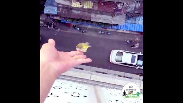 Try not to laugh,😂😂😂😂