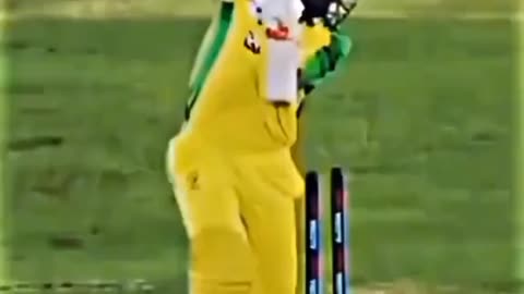 Bat Vdo
