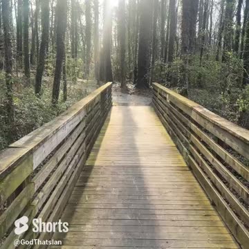 Key For Today! GOD IS WITH YOU Open Gates To Heaven On Earth 😇 #fyp #shorts