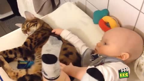 FRIENDSHIP BETWEEN BABIES AND PETS