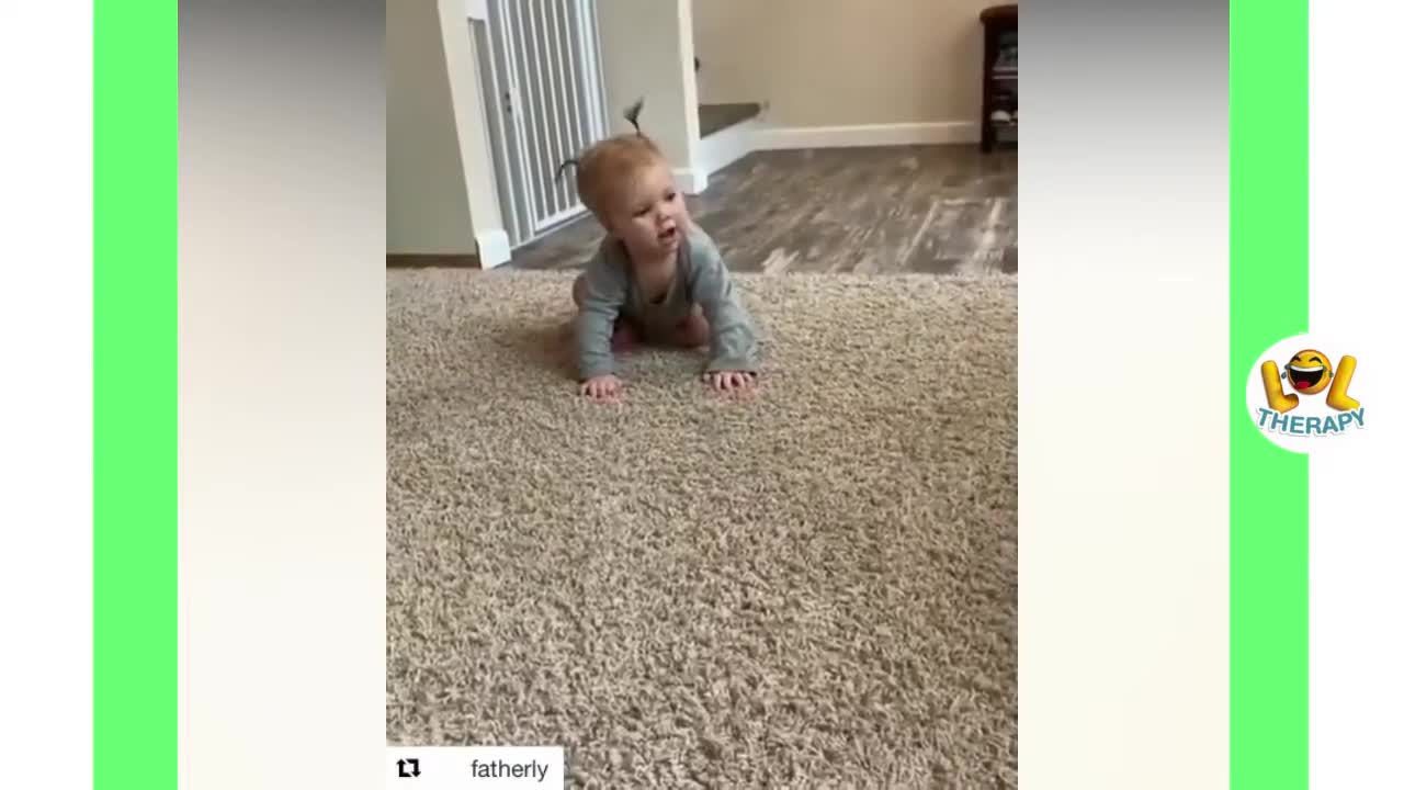 New Funny Babies Laughing Hysterically at Dogs Compilation