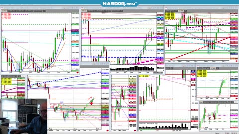 CATTLE & Hog Report Friday, a look at markets