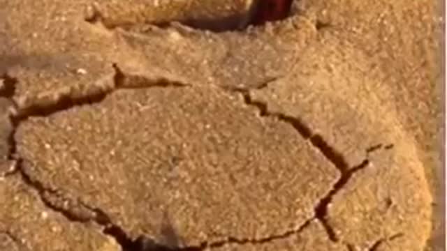 Top 100 "I can´t Believe" Videos from 2021