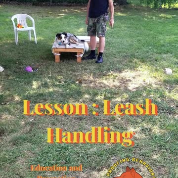 Ruff Cut PodCast Leash Handling part 2 cut bb